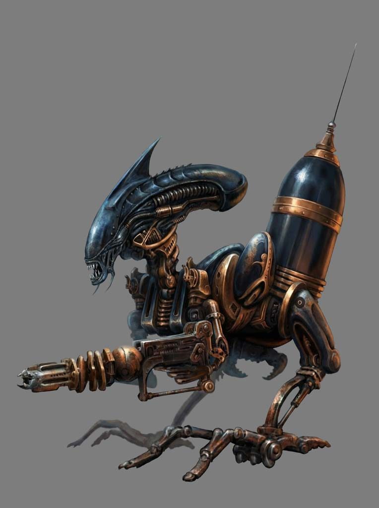 Voyd