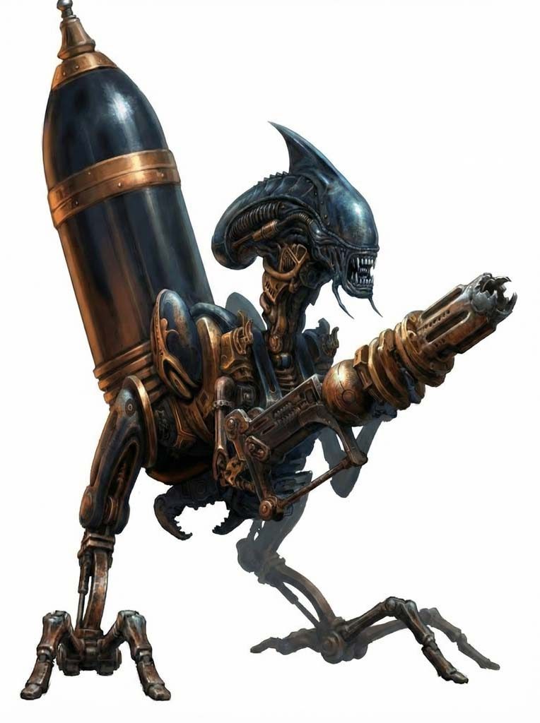 Voyd